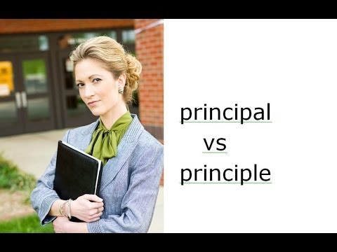 Commonly Confused Words: principal vs principle