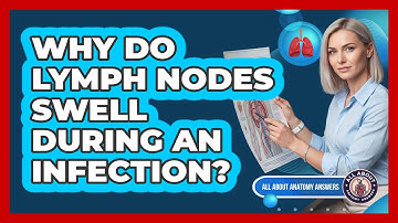 Why Do Lymph Nodes Swell During An Infection?