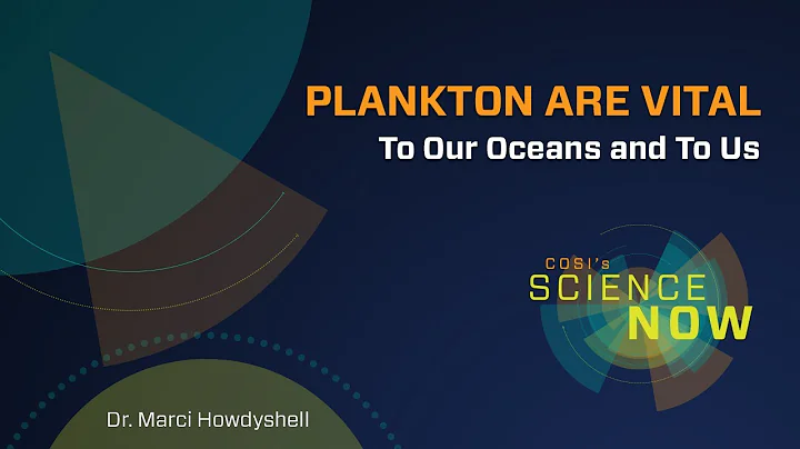 Tiny Superheroes of the Sea | Director of Science ...