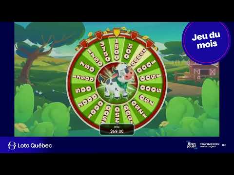Comment Accéder au Calendrier des Bonus Wildies