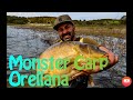 Carpfishing  Monster Carp Orellana