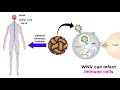 West Nile Virus Knowledge Assessment