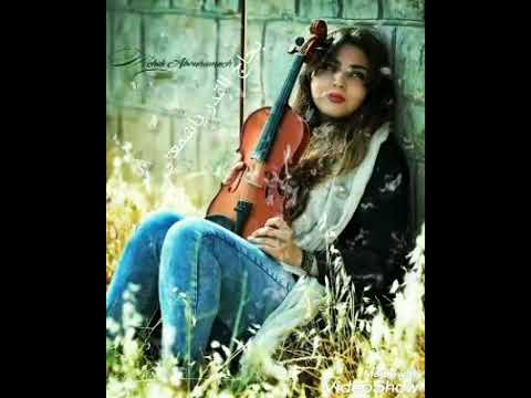 الموسيقى هي روح الحياة لغة لا ي مكن لأحد أن يفهمها وي حس بها إلا إذا كان لديه فيض من الحب وال