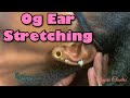 Stretching From 2g to 0g| Easy Stretching!| Alaysia Chantae'