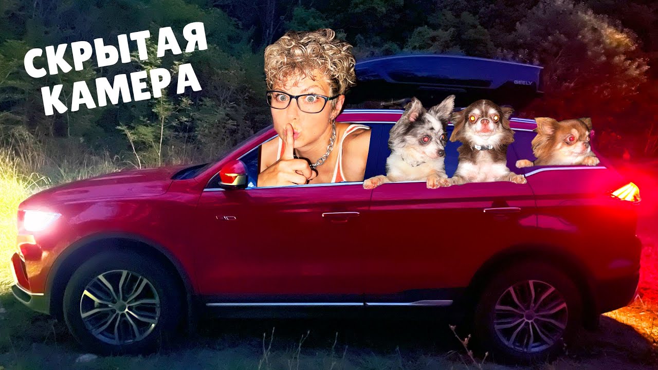 24 часа в машине