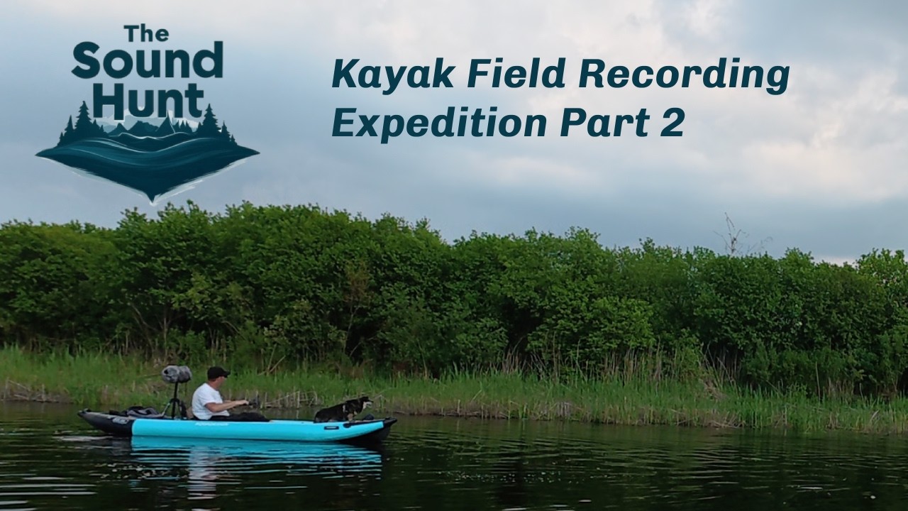 Biebrza River Marsh Soundscape Recording..