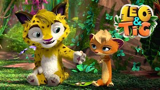 Leo and Tig 🦁 The Snake Charmer - Episode 45 🐯 Funny Family Good Animated Cartoon for Kids by Leo and Tig 15,262 views 4 months ago 11 minutes, 1 second