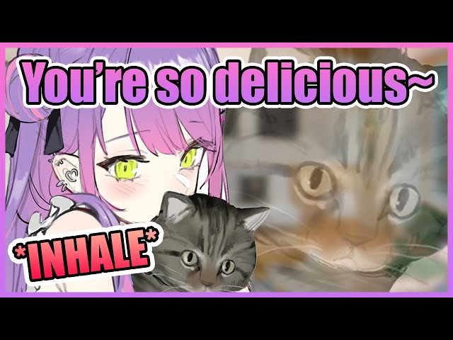 Just Towa-Sama Talking To Her Cat and Inhaling It on Stream (Pt.2)【Hololive】 class=