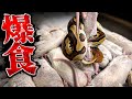 大量の冷凍ラットをうちの秘蔵っ子たちに与えまくる。