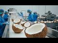 Inside a Coconut Processing Factory — From Fresh Coconuts to Creamy Coconut Milk
