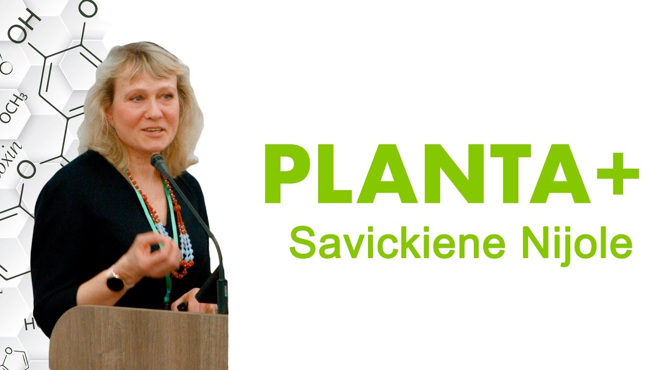 Savickiene N. ІNFLUENCE OF GINKGO BILOBA