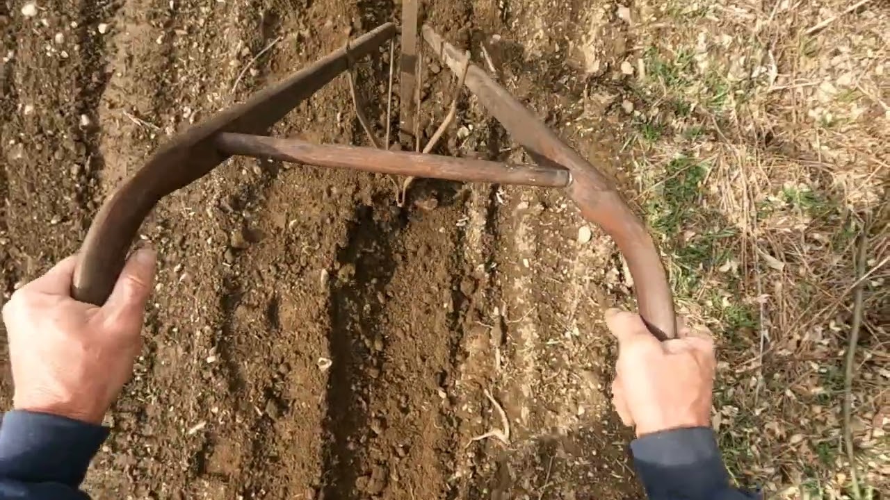 More potato  planting with some unique old equipment  and getting  creative