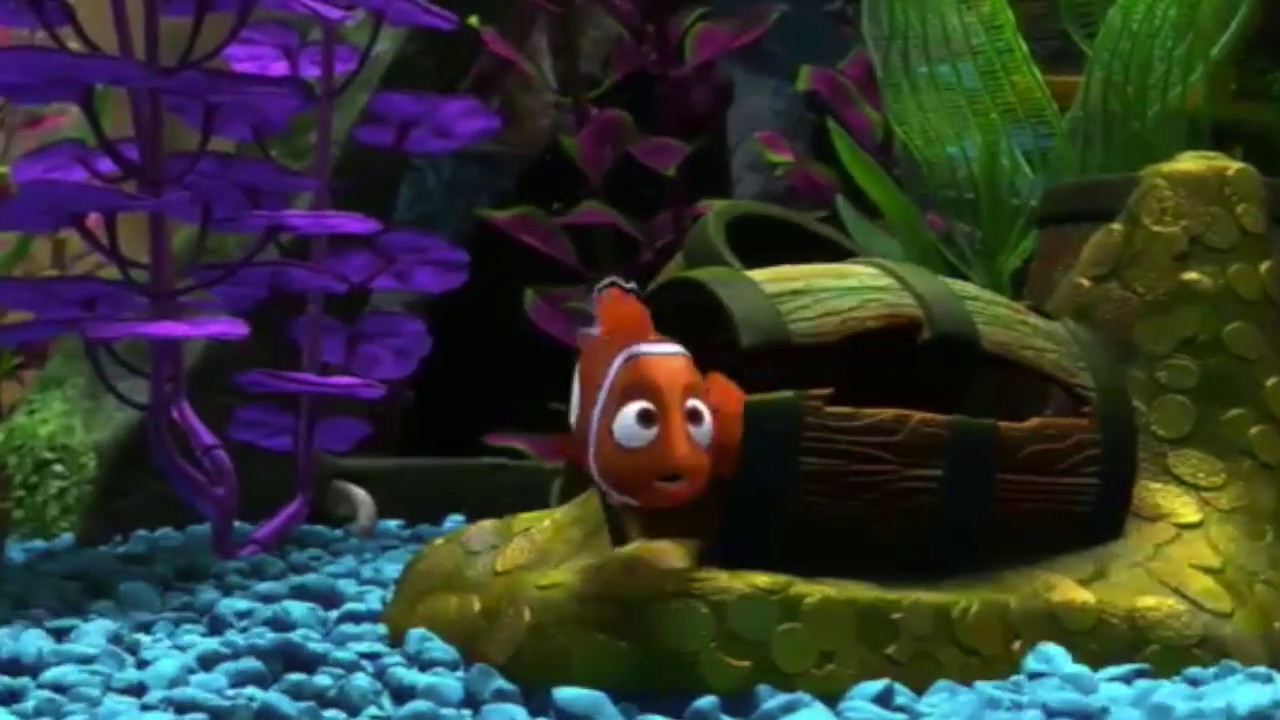 Finding Meaning In Finding Nemo YouTube Finding Meaning In Finding Nemo YouTube