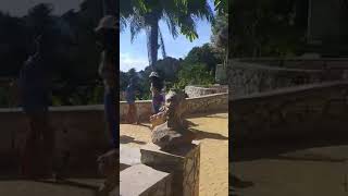 Jamaica Giants