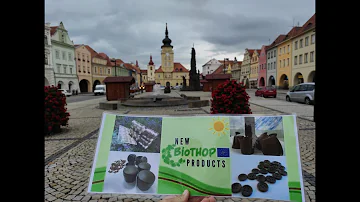 Proč jsou vztekliny nemocné?