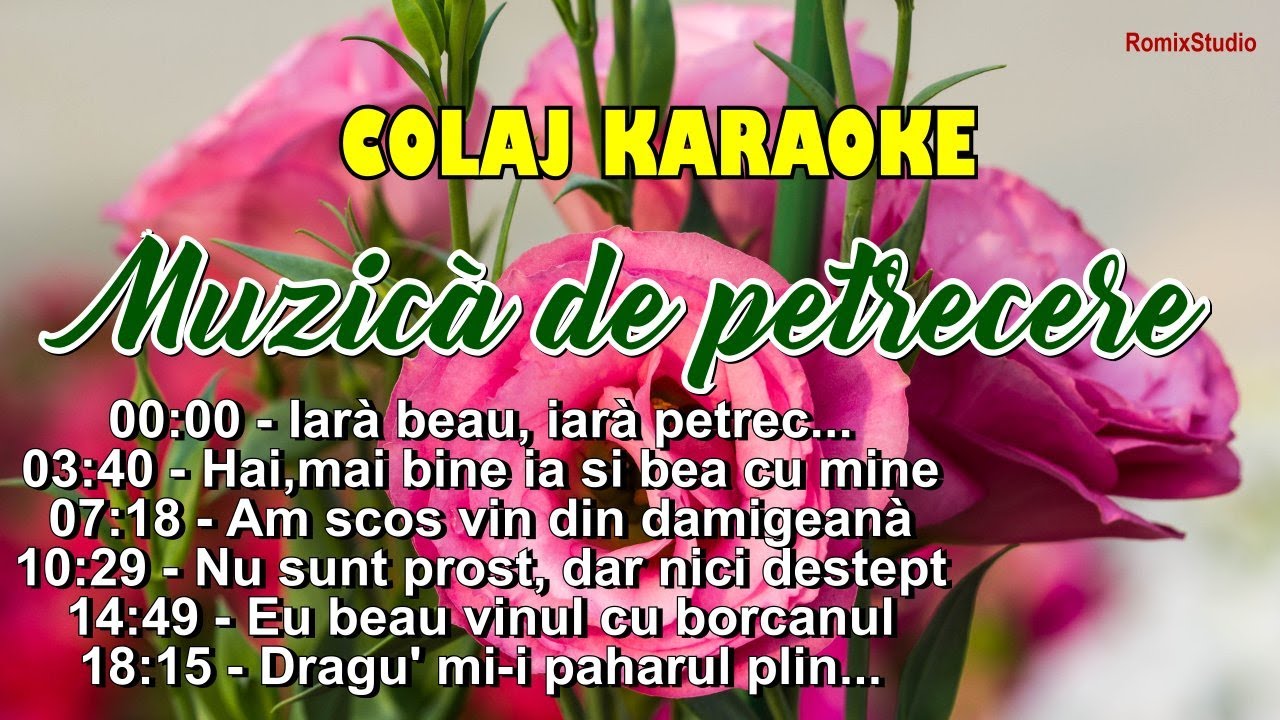 2024 🌟 KARAOKE 🎶  COLAJ🏅Batute si sarbe de joc.Cantece de petrecere,pahar,chef si voie buna