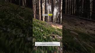 Dil Ka Noor | Let Your Inner Light Shine #shorts  #zabira #quotes #halalentertainment