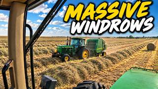 We NEEDED This HAY!