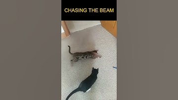 Chasing the beam#shorts