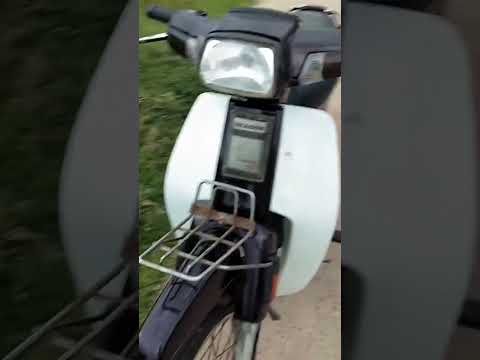 Video Xe Dream Tàu Hàng Hiếm Zin Từng Con Ốc - youtube
