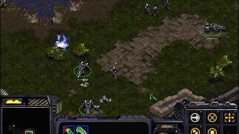 Vulture Micro Video 3