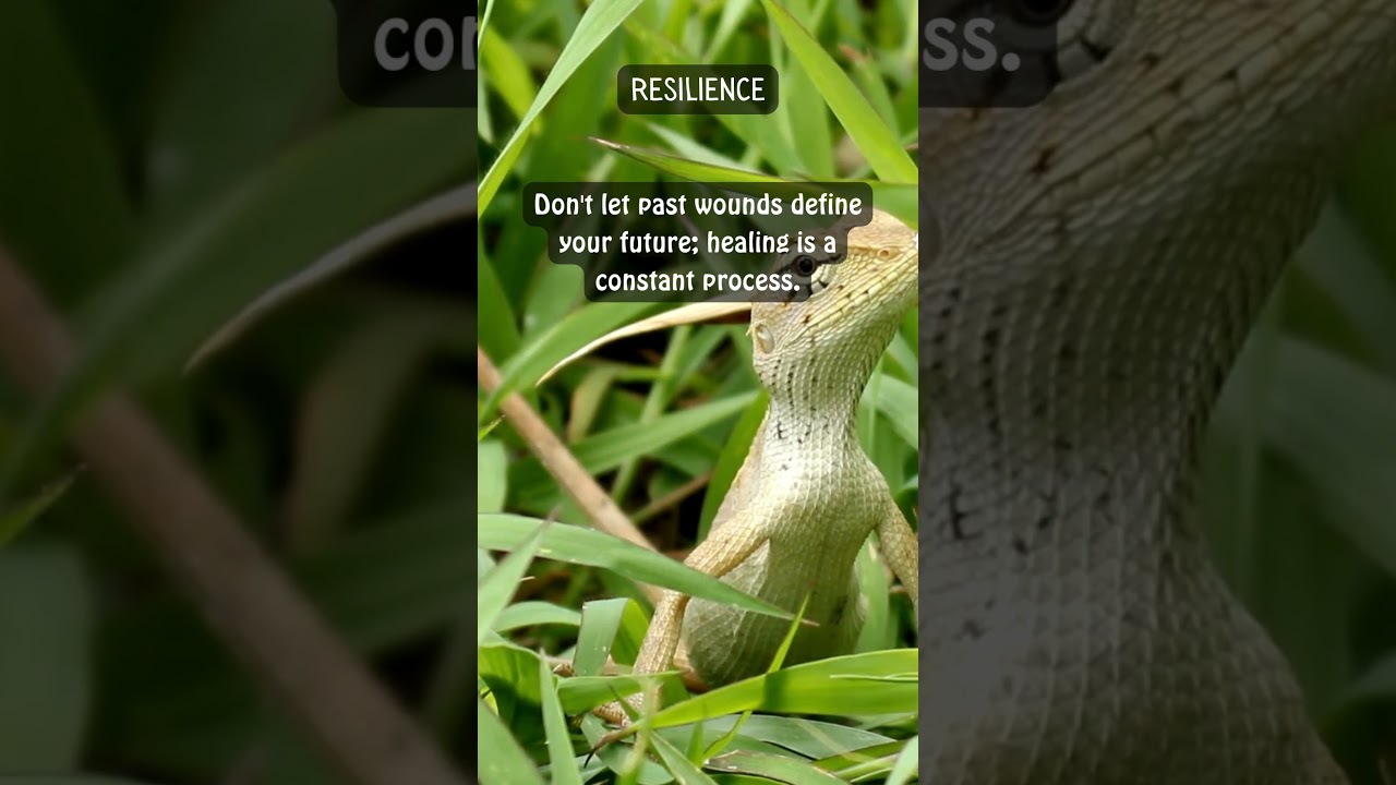 Be Your Best: Life Lessons - 