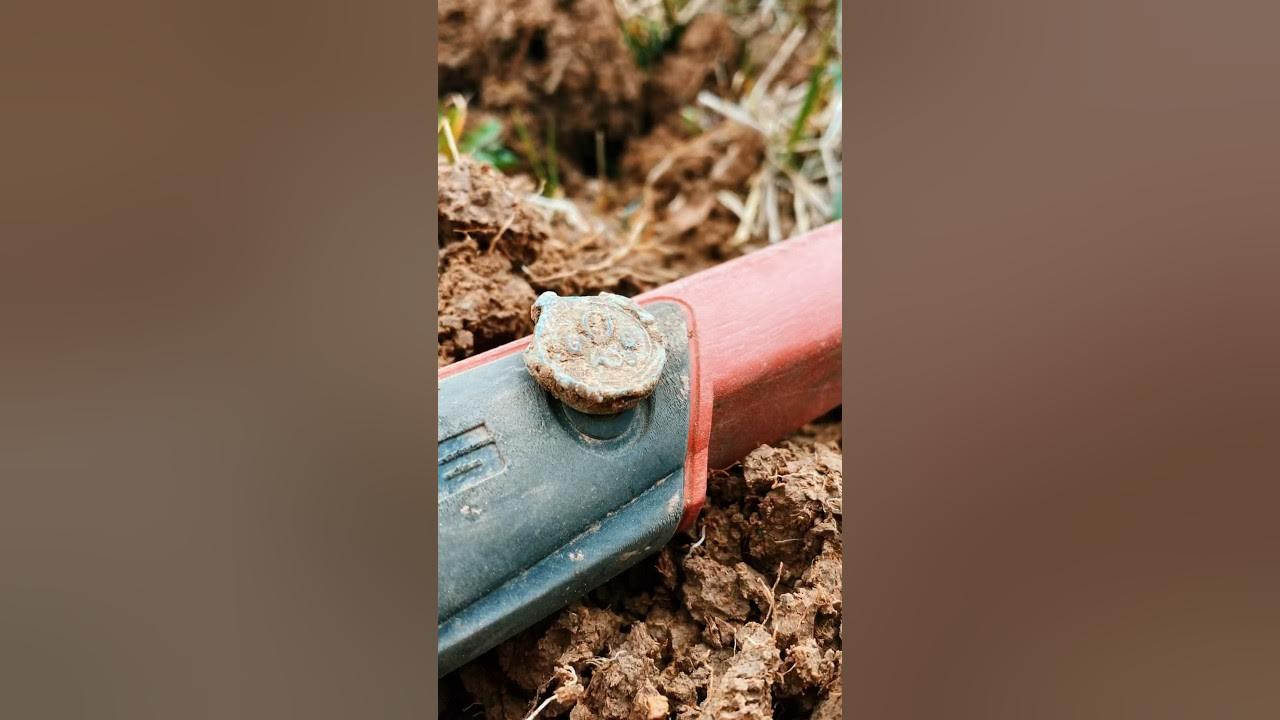 Detector Lady 🫶🏻 Digger XP ORX detectorismo detectorlady 