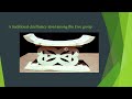 lesson 2 Indigenous and contemporary governance in Ghana (GOVERNMENT)