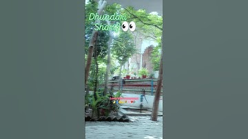 dhundari Sharif #shorts #video #love #this #movement ❤️‍🩹🙌🙆