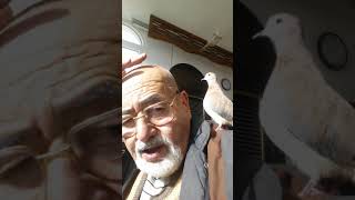 HAYVANLAR İNSANLARI ANLIYORDA MALESF, İNSANLAR HAYVANLARI ANLAYAMIYO