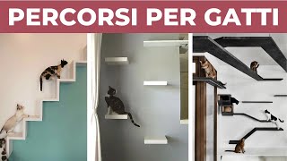 PERCORSI PER GATTI da parete fai da te | DIY