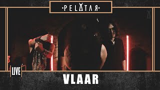 Vlaar // PELATAR LIVE