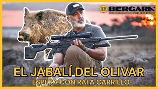 🐗 ESPERA DE JABALÍ con RAFA CARRILLO y el rifle BERGARA PREMIER ELEVATE