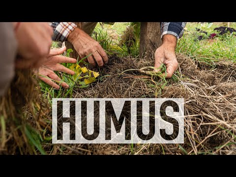 Video: L'humus è un fattore abiotico?