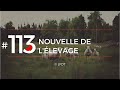 NOUVELLE DE L'ELEVAGE │LFDT #113