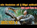 Anaconda 4 sinhala review | sinhala movie review | review in sinhala movie | Bakamoonalk new | Film