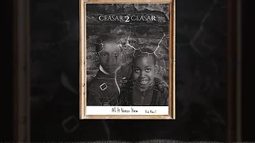 ATI FT VEEZO VIEW- CEAAR 2 CEASAR