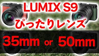 LUMIX S9 予約開始 単焦点35mmと50mmなら初心者には○○mmを強くお勧めします