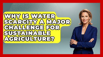 Why Is Water Scarcity A Major Challenge For Sustainable Agriculture? - Explaining Ecology
