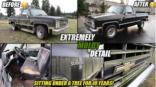 1986 CHEVY SILVERADO C10 | GETS A RESURRECTION DETAIL AFTER SITTING FOR 10 YEARS! | AMAZING RESULTS