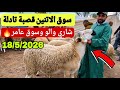 مباشرة من سوق الاتنين قصبة تادلة 18 5 2026 مع التمن الحولي و خروف و حولية العيد 