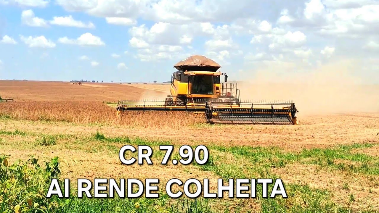 COLHEITA DO SOJA COM NEW HOLLAND CR 7.90 E PRODUCAO #AGRICULTURA #AGRO#BRASIL