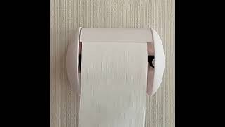3D file Yet Another Quick Change Toilet Paper Roll Holder - Shelf