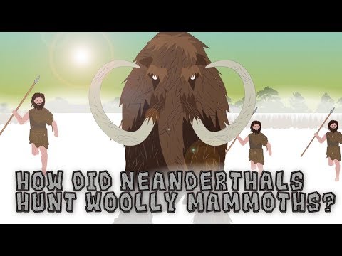 वीडियो: ऊनी मैमथ का शिकार किसने किया?