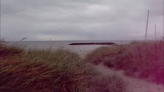 Schönberg In Der Probstei