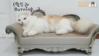 The Reason Why Soni Is Lying Down Exhausted