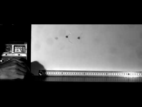 Sameh Tawfick long-jumping robot (video A).