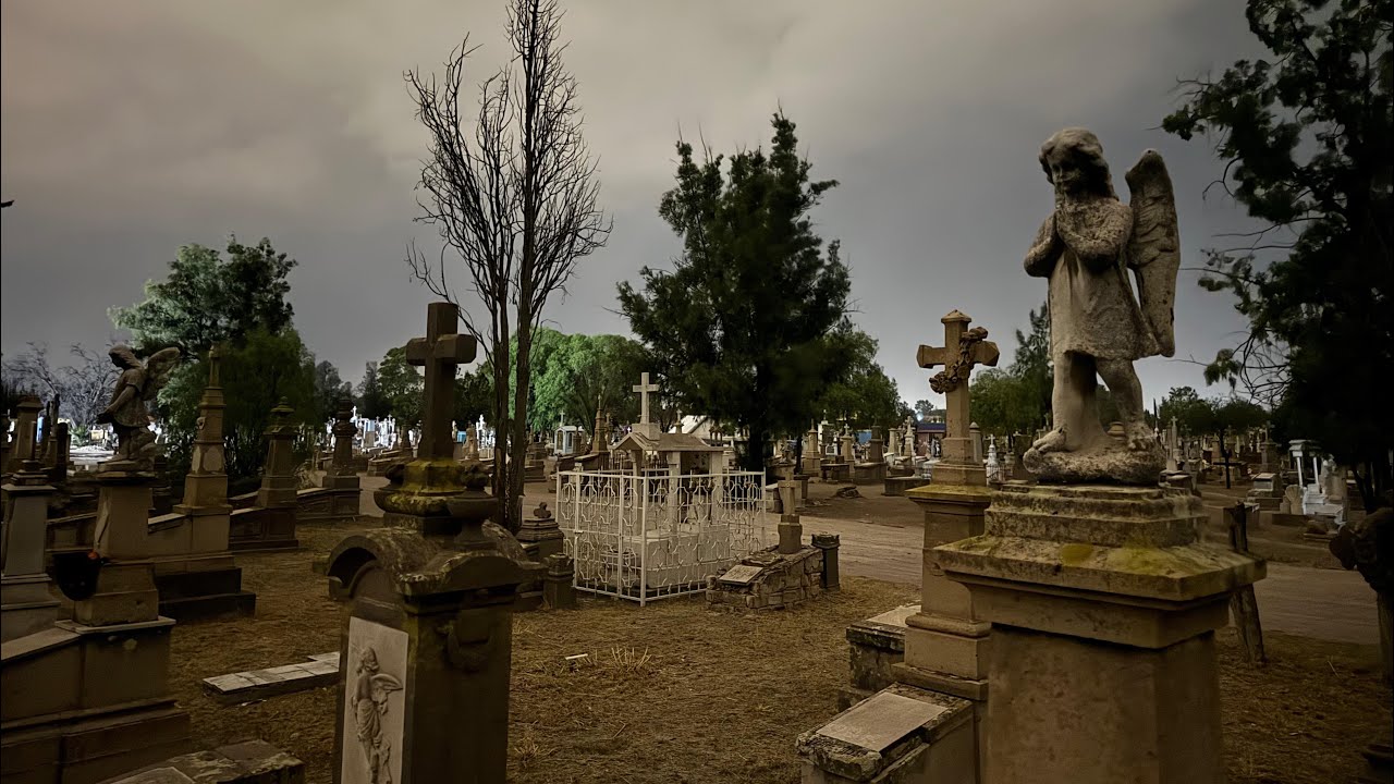 Los pequeños olvidados LLORAN || PANTEÓN SAUCITO