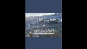 سورة مريم | القارئ عبدالرحمن مسعد