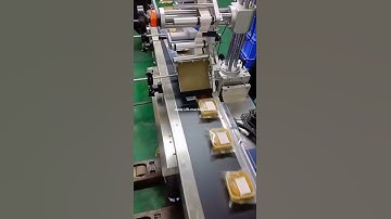 Automatic mooncake product bag labeling machine adhesive label applicator